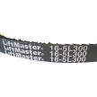 16-5L300 Liftmaster Cogged V-belt 