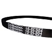 16-5L304 Liftmaster Cogged V-belt 